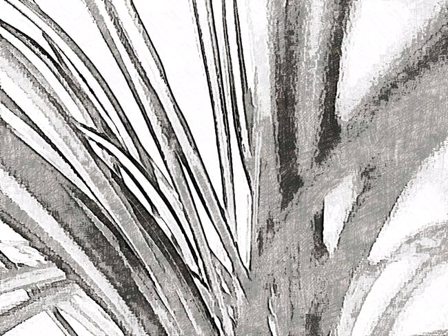 MANWEL T - ECHOLOGICAL STEPPER 