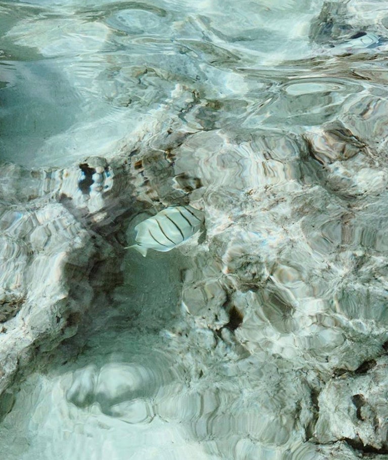 Image of RESERVED FOR HELENA