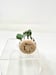 Image of Tiny Potted Cactus
