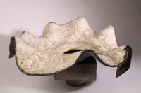 Image 2 of Break out