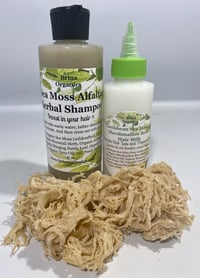 Image 2 of Sea Moss Alfalfa Shampoo and Sea Moss &amp; Marshmallow Root Leave-in Hair Milk, BESTSELLER