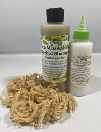 Image 3 of Sea Moss Alfalfa Shampoo and Sea Moss &amp; Marshmallow Root Leave-in Hair Milk, BESTSELLER