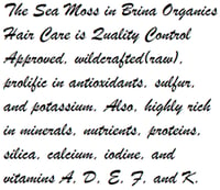 Image 4 of Sea Moss Hair Care Bundle, Herbal Shampoo &amp; Conditioner, Natural Hair Products