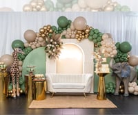 Balloon  stage as seen 