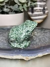 Tree Agate Frog 