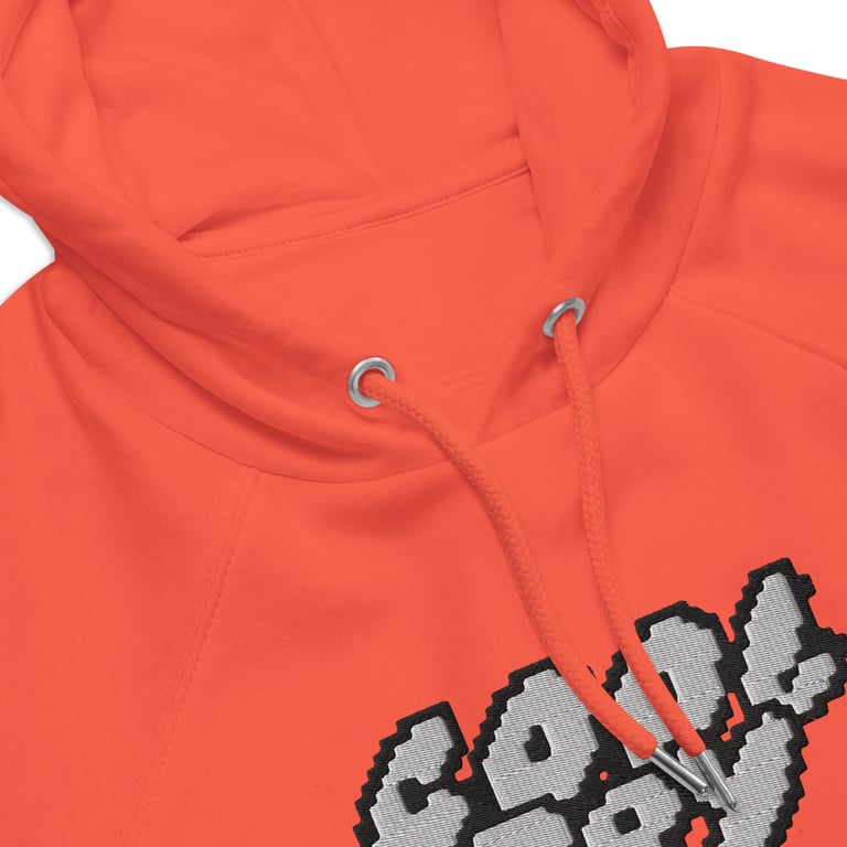 Cloud Logo Organic Raglan Embroidered Hoodie Image 2