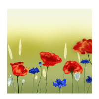 Cornflowers & Poppies - Greetings card