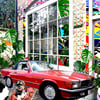 Greeting Cards Sporty Cars Set of 4 