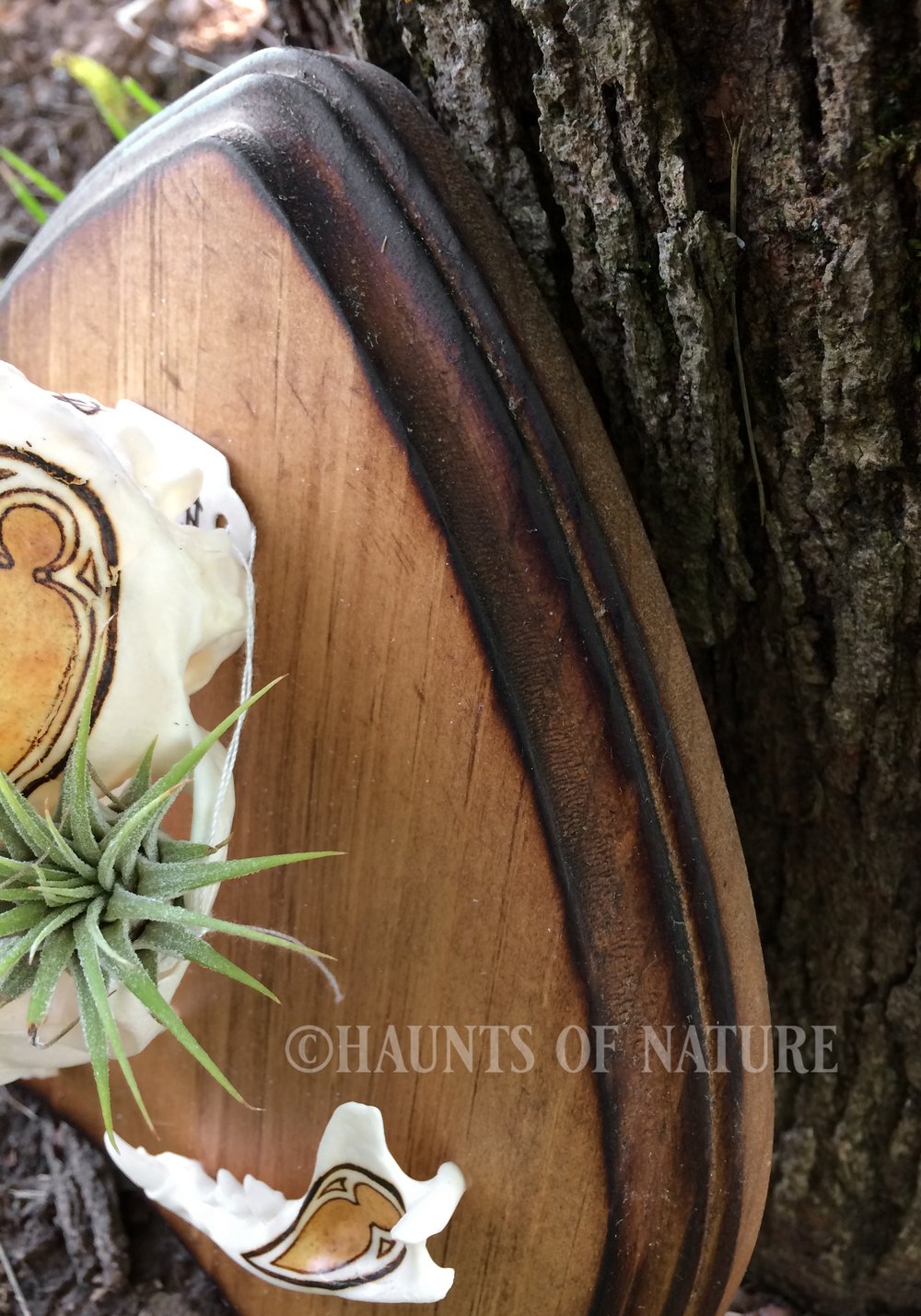 Pyrography Cat Skull with Gothic Architecture