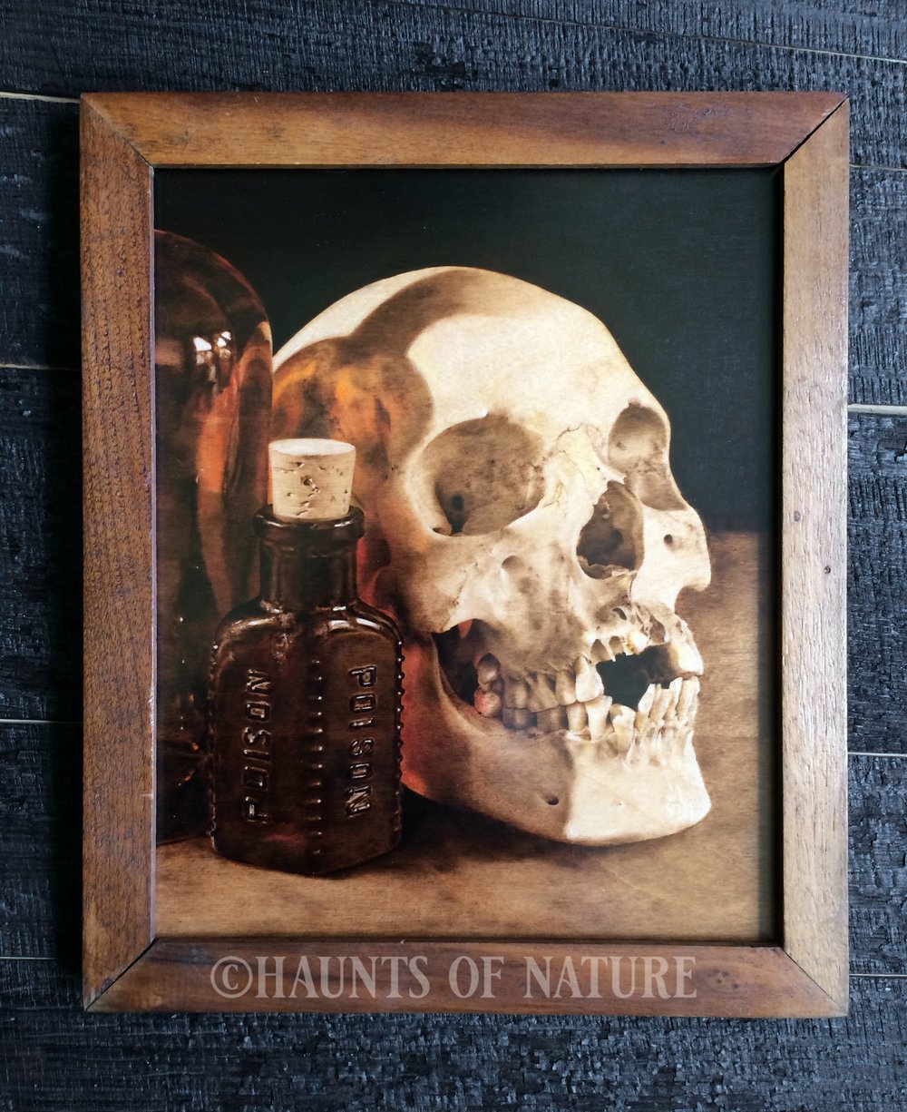 Wood Burned Poison Bottles and Human Skull