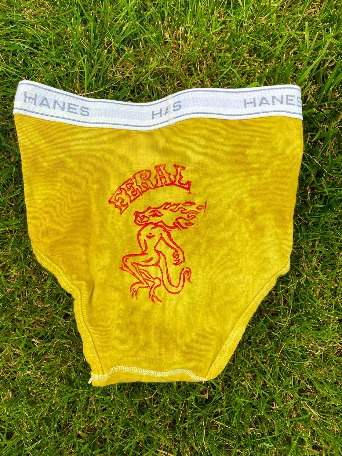 Image of FERAL Briefs