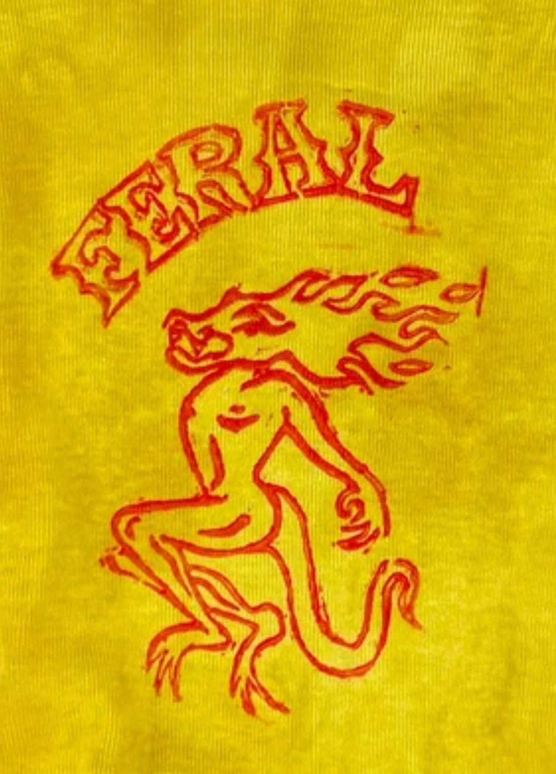Image of FERAL Briefs