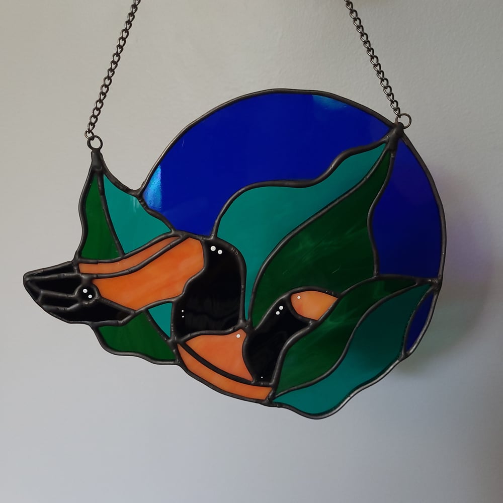 Bismark Ringed Python 