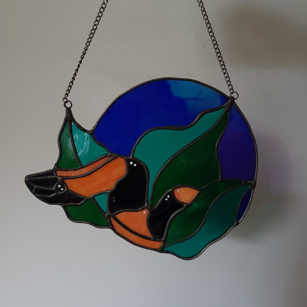 Bismark Ringed Python 