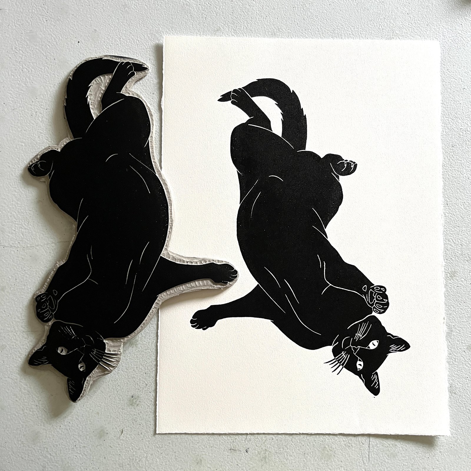 SALE - Squiggle Wiggle Cat | Mary Ann Testagrossa Art