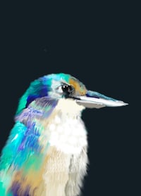 Image 1 of Kingfisher 