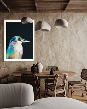 Image of Kingfisher 