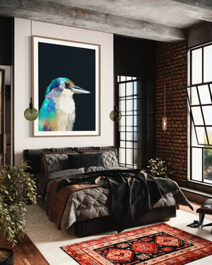 Image of Kingfisher 