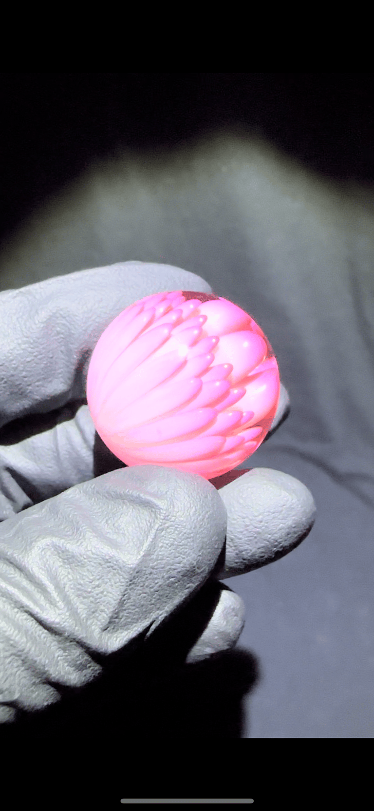 Candy Image 3