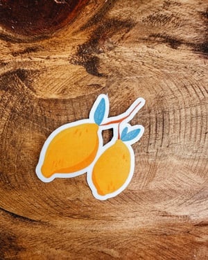 Image of Auburn Alabama Stickers