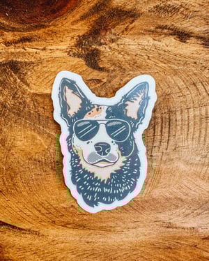 Image of Coastal Cowgirl Stickers