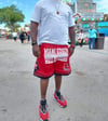 MIAMI EDISON RED RAIDERS 