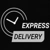 Express Delivery (24h)