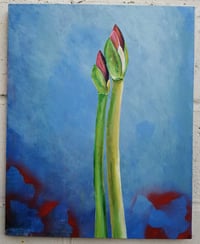 Image 1 of SEAN WORRALL - This Year’s Amaryllis, Part 1 (2022) – acrylic on canvas, 40cm x 50cm x 1cm