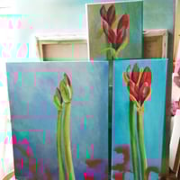 Image 3 of SEAN WORRALL - This Year’s Amaryllis, Part 4 (2022) – acrylic on canvas, 20cm x 20cm x 1cm.   