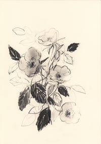 Dog roses no. 2