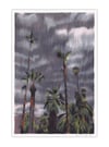Palm Springs Storm (giclee print, A4)