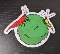 Image 1 of Marimo Shrimps Sticker