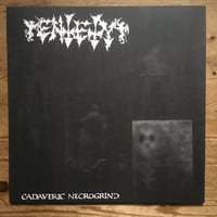 Image 1 of ENTETY "Cadaveric Necrogrind" 12"