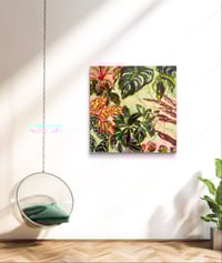 Image 5 of Olive Vibes