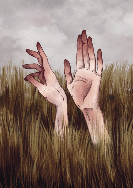 Image of Grass #2