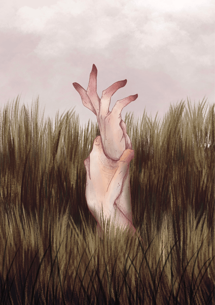Image of Grass #1