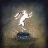 Rabbit Dance