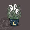 Ghost Plant