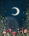 Moonlit Dreams