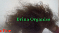 Image 4 of Herbal Orange Citrus Hair Cream Moisturizer, Horsetail Herb Infused