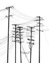 Power Lines Drawing #100 (Hamtramck)