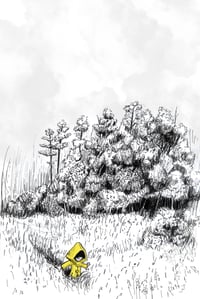Image 1 of The Edge of Sorrow and Whimsy
