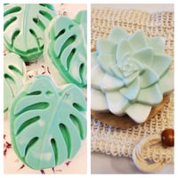 Image 1 of Monstera. Succulent Soap. GIFT SET| Soap Saver Bag