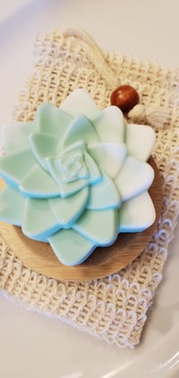 Image 3 of Monstera. Succulent Soap. GIFT SET| Soap Saver Bag