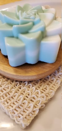 Image 4 of Monstera. Succulent Soap. GIFT SET| Soap Saver Bag