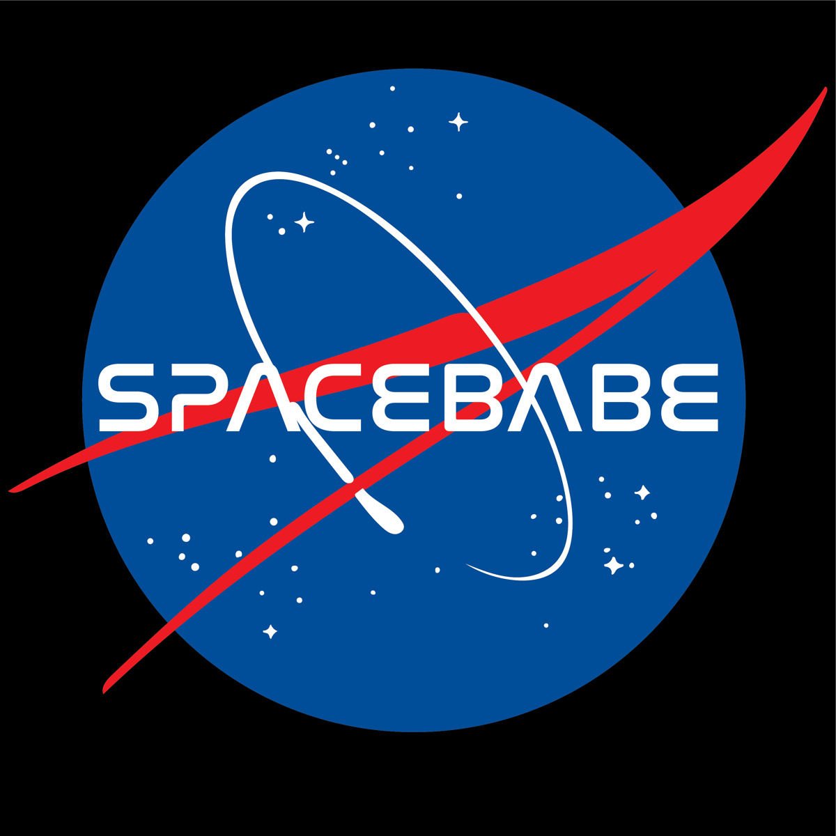 SPACEBABE Foxtails Press