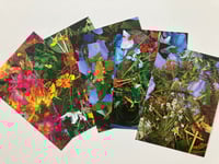 Compost Postcards – Set of 5