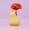 orange vase snail - biggy size