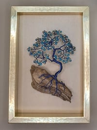 BONSAI PICTURE E3 *** FREE UK POSTAGE ***