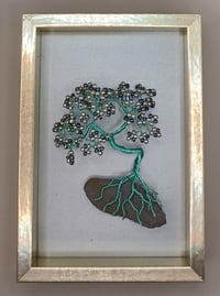 BONSAI PICTURE E7 *** FREE UK POSTAGE ***